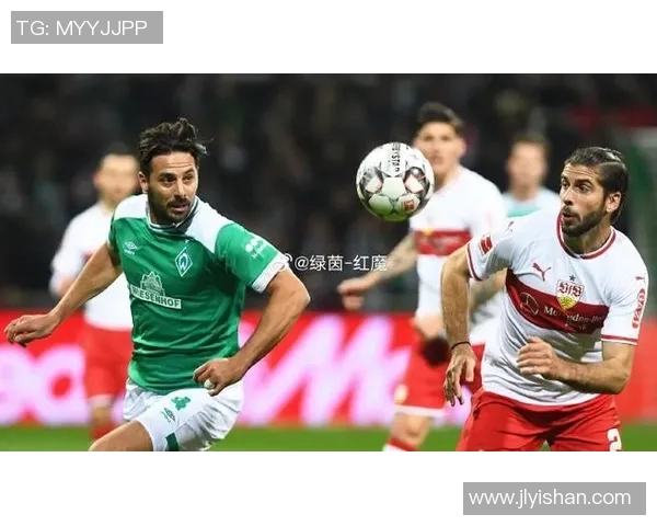 斯图加特降级危机,客负霍芬海姆形势堪忧 斯图加特降级危机,客负霍芬海姆形势堪忧